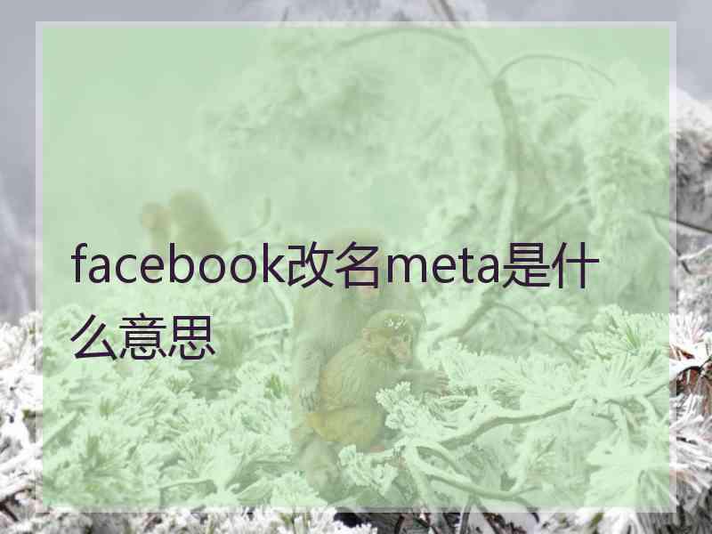 facebook改名meta是什么意思