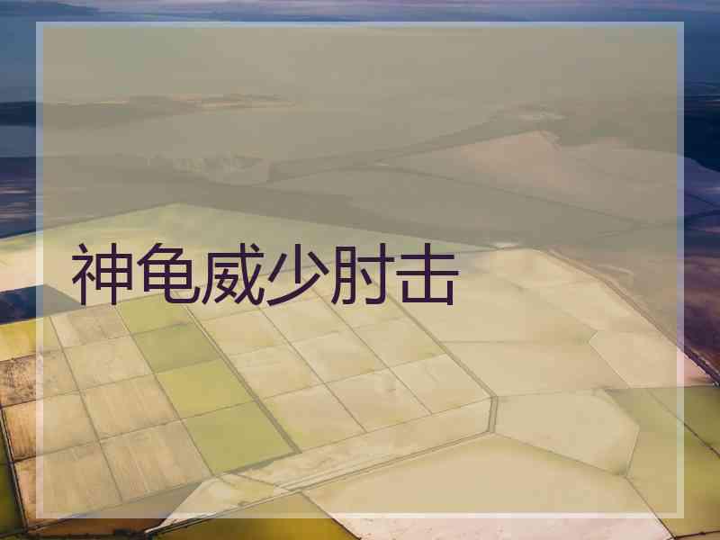神龟威少肘击 神龟威少肘击
