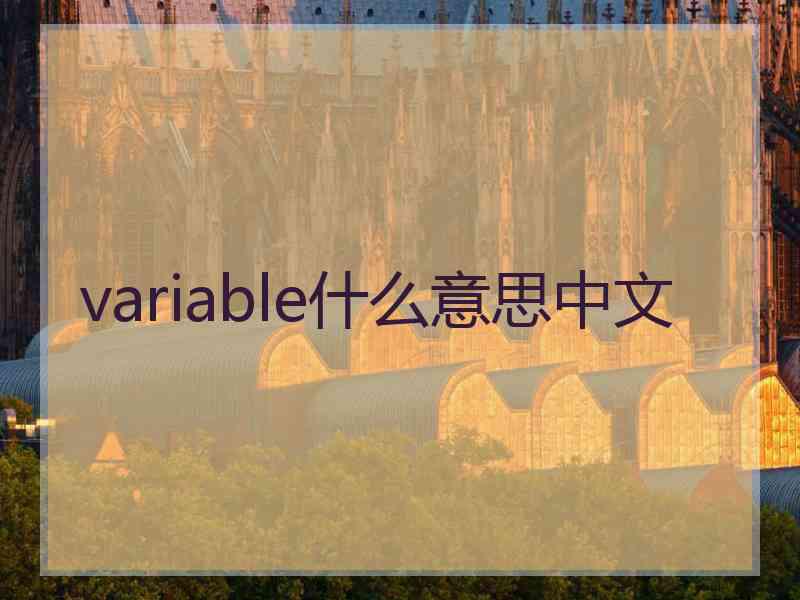 variable什么意思中文