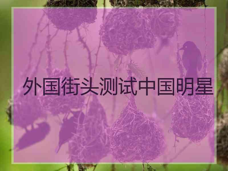 外国街头测试中国明星 外国街头测试中国明星