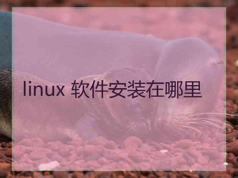 linux 软件安装在哪里 linux 软件安装在哪里