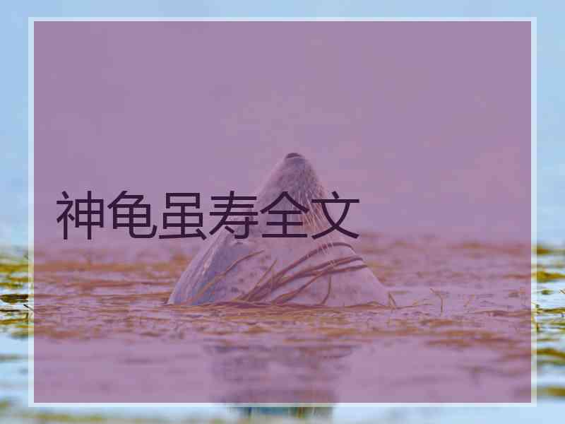 神龟虽寿全文 神龟虽寿全文