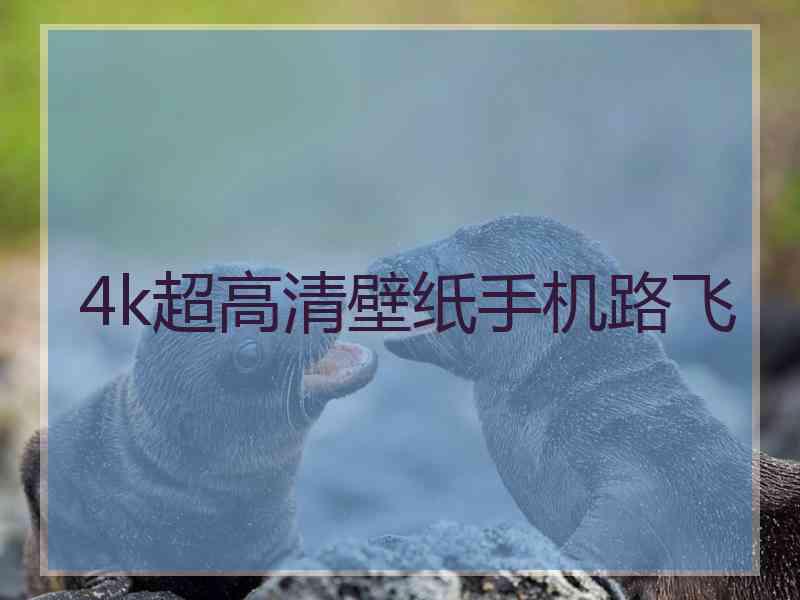 4k超高清壁纸手机路飞 4k超高清壁纸手机路飞