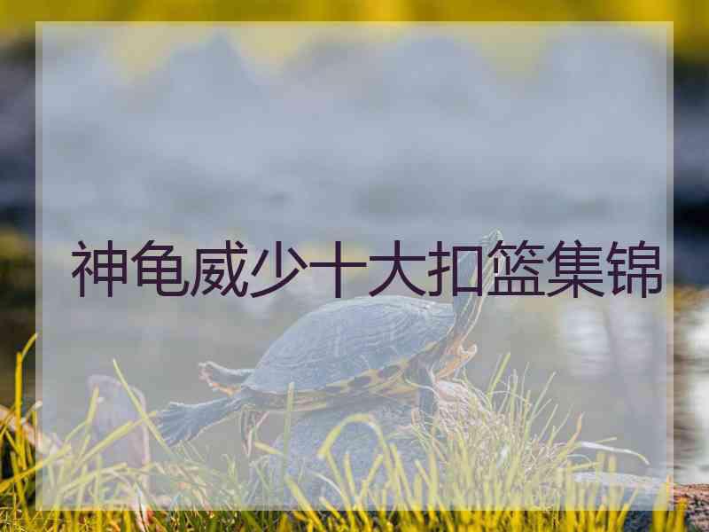 神龟威少十大扣篮集锦 神龟威少十大扣篮集锦