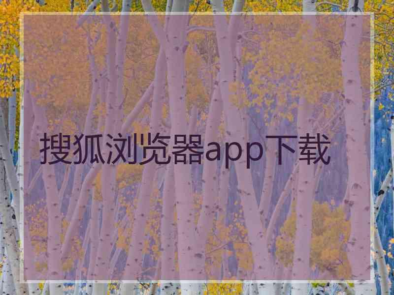 搜狐浏览器app下载