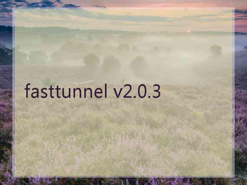 fasttunnel v2.0.3