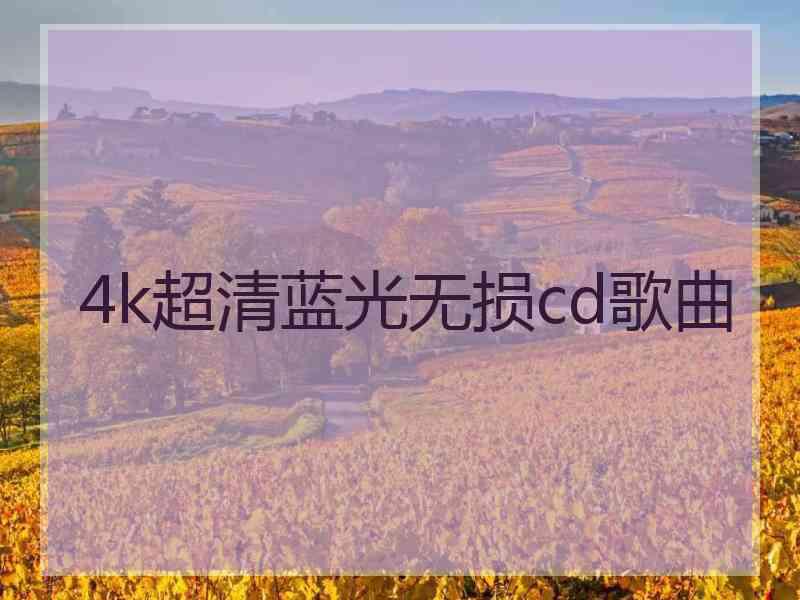 4k超清蓝光无损cd歌曲 4k超清蓝光无损cd歌曲