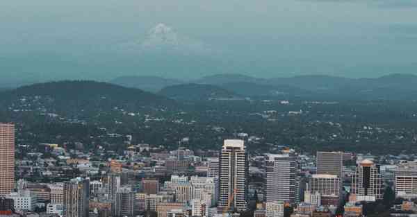 坚果官网下载地址