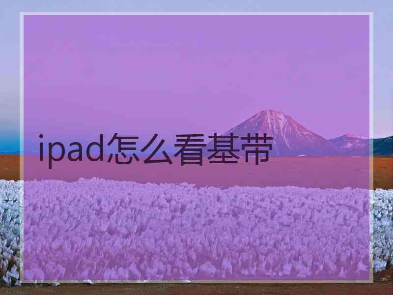 ipad怎么看基带