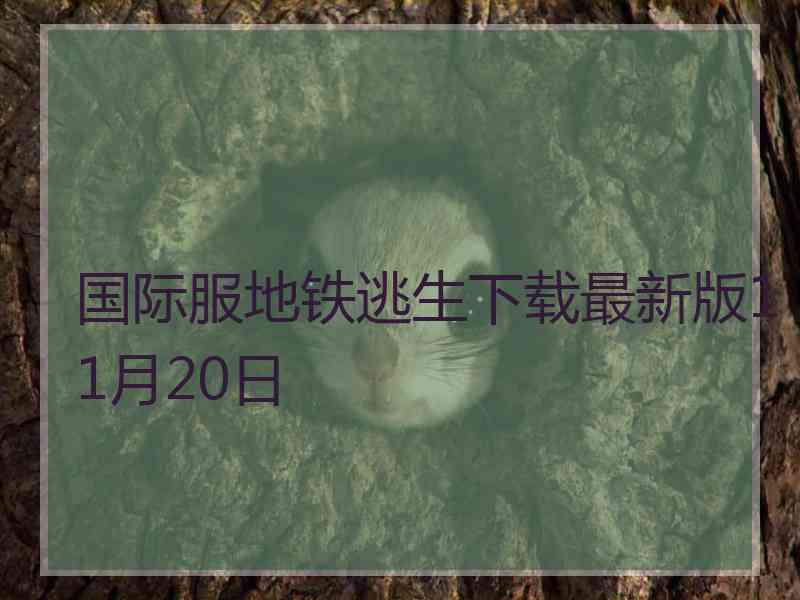 国际服地铁逃生下载最新版11月20日