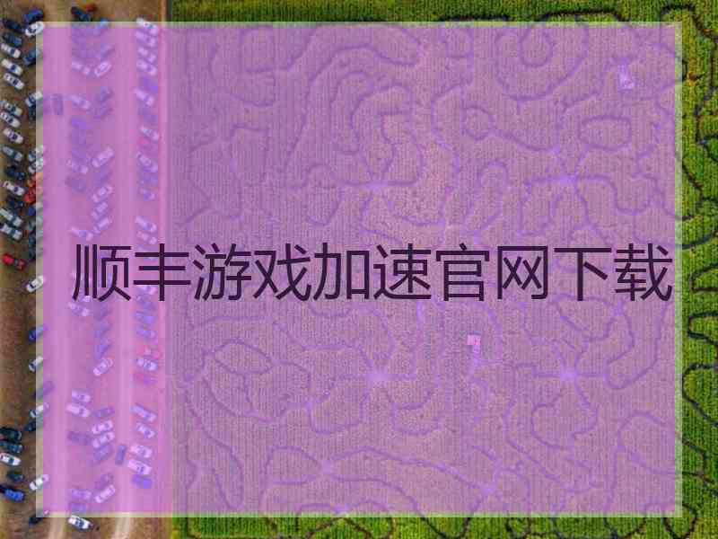 顺丰游戏加速官网下载