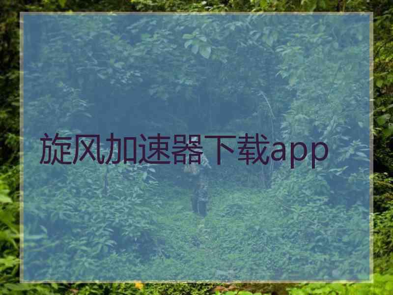 旋风加速器下载app