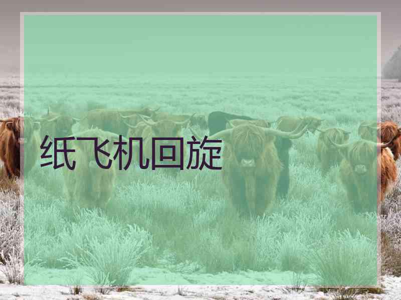 纸飞机回旋
