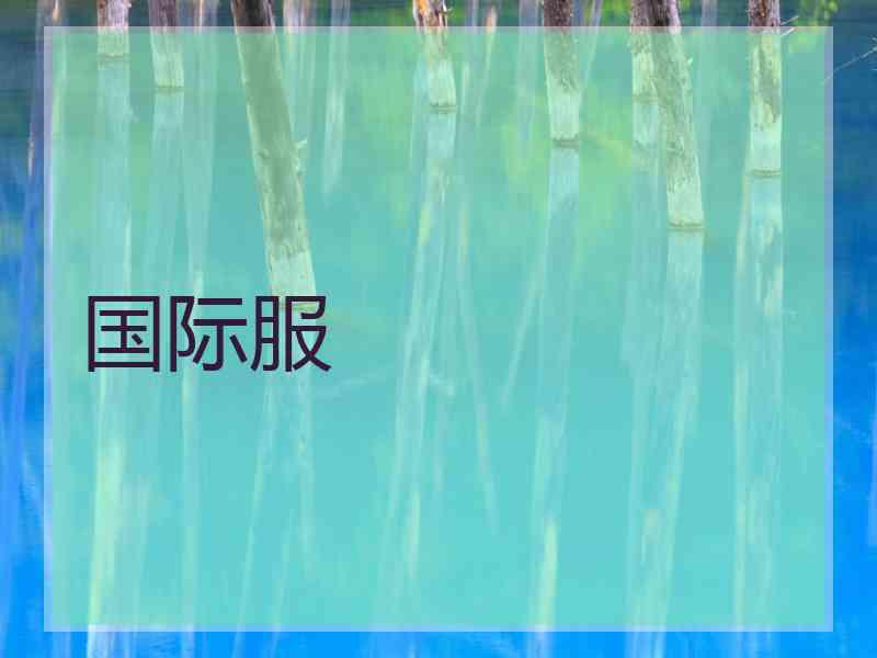 国际服