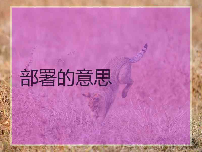 部署的意思