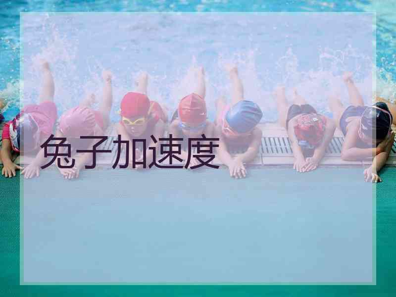 兔子加速度