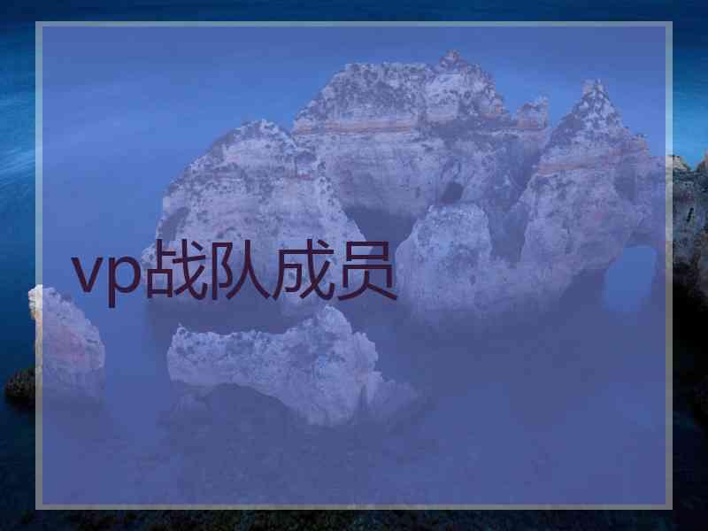 vp战队成员