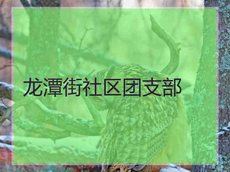 龙潭街社区团支部