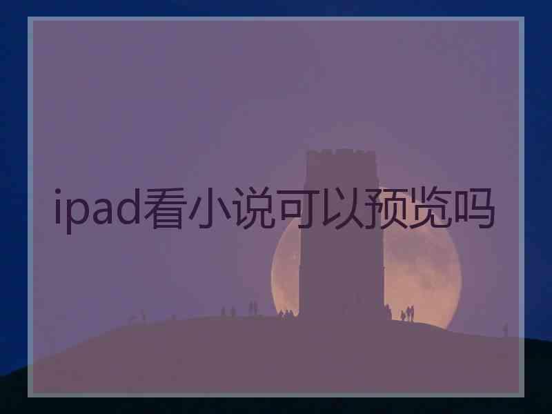 ipad看小说可以预览吗