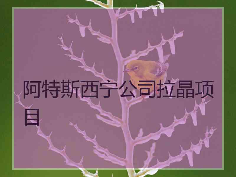 阿特斯西宁公司拉晶项目