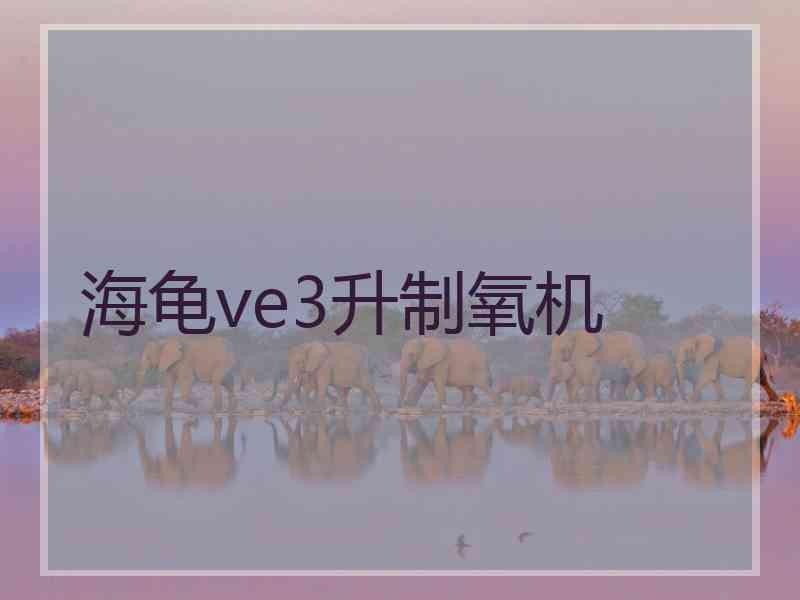 海龟ve3升制氧机