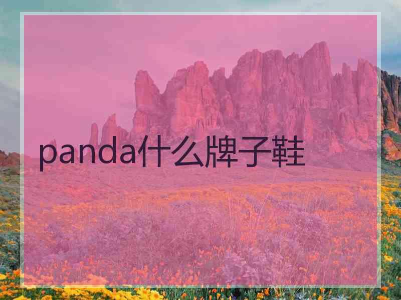 panda什么牌子鞋