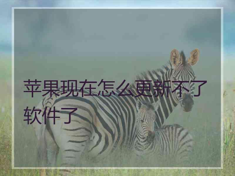 苹果现在怎么更新不了软件了