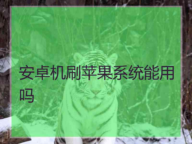 安卓机刷苹果系统能用吗