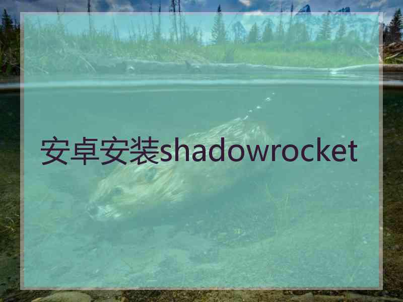 安卓安装shadowrocket