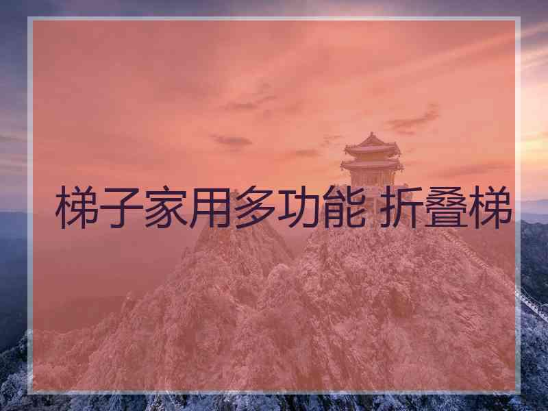 梯子家用多功能 折叠梯