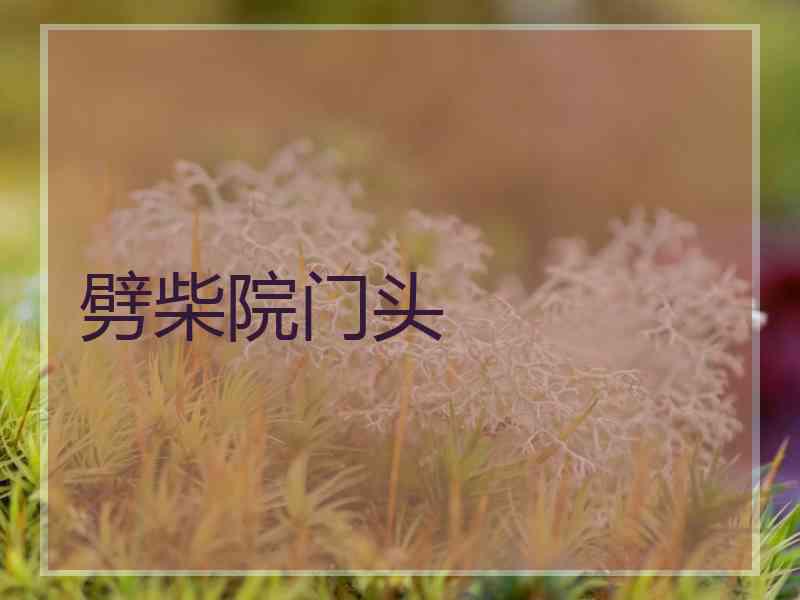 劈柴院门头