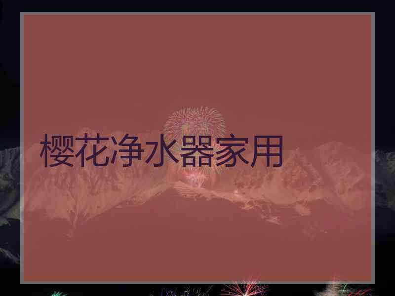樱花净水器家用