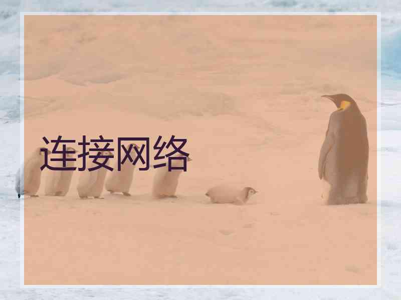 连接网络
