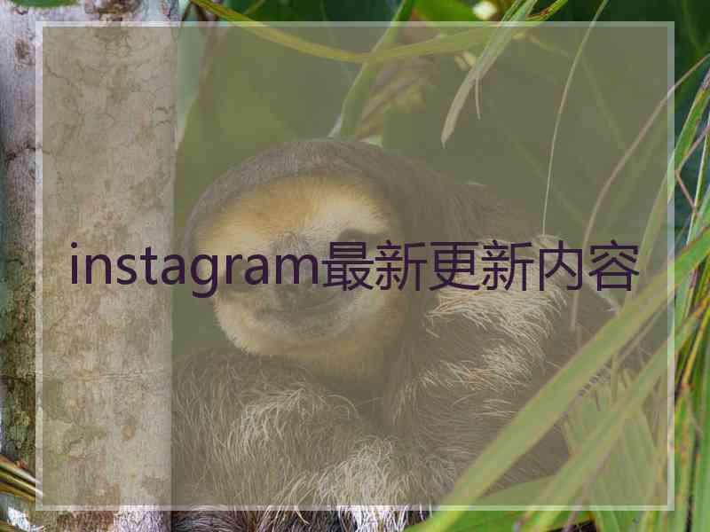 instagram最新更新内容