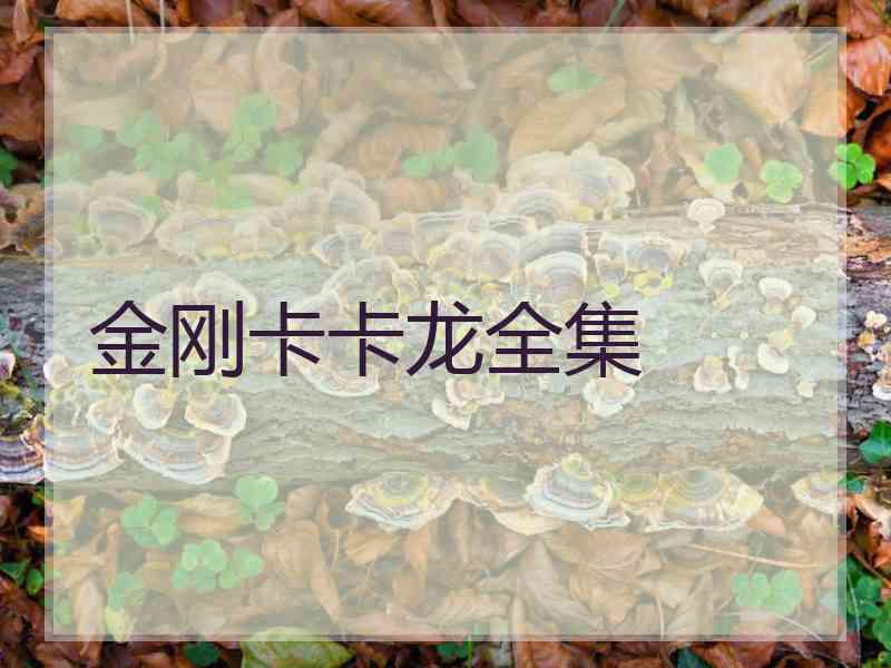 金刚卡卡龙全集