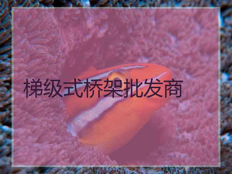 梯级式桥架批发商