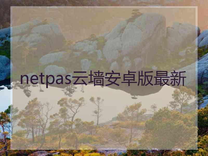 netpas云墙安卓版最新