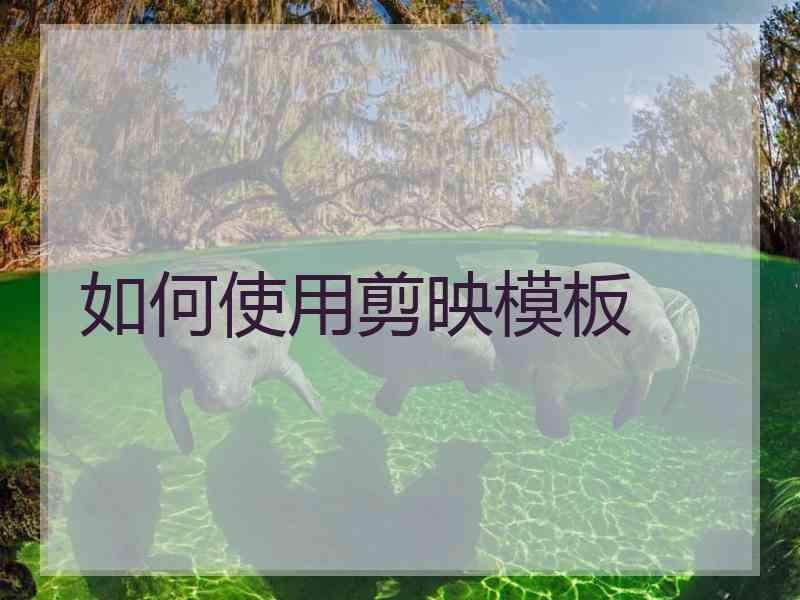 如何使用剪映模板