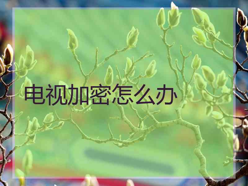 电视加密怎么办