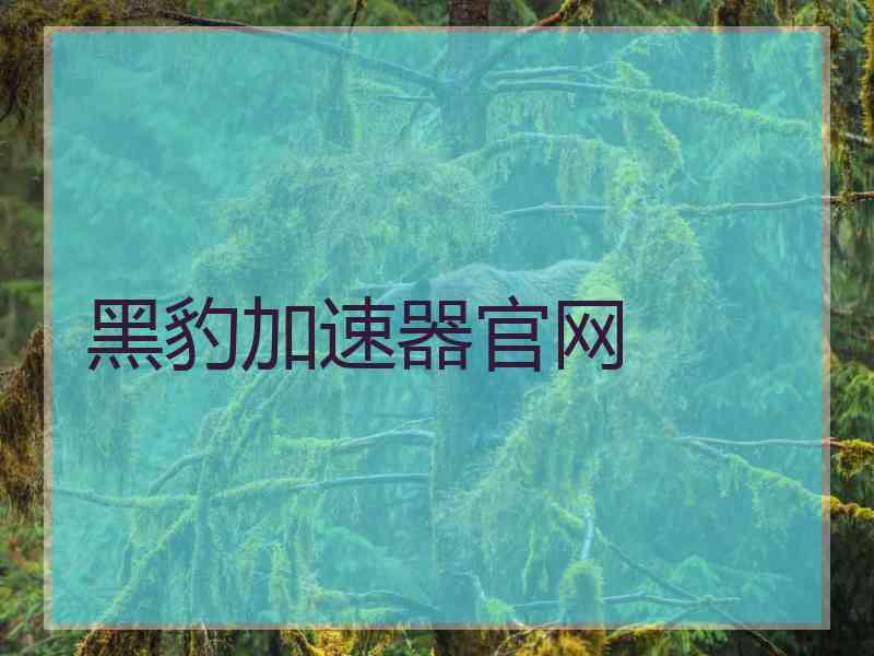 黑豹加速器官网