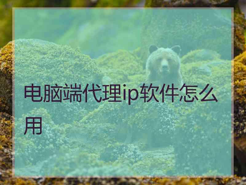 电脑端代理ip软件怎么用
