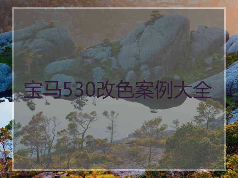 宝马530改色案例大全