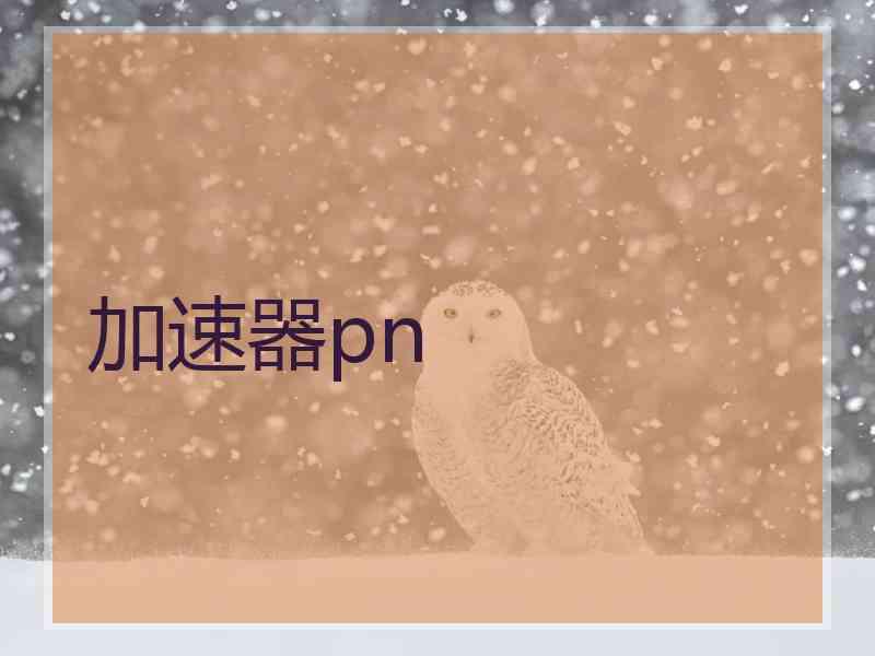 加速器pn
