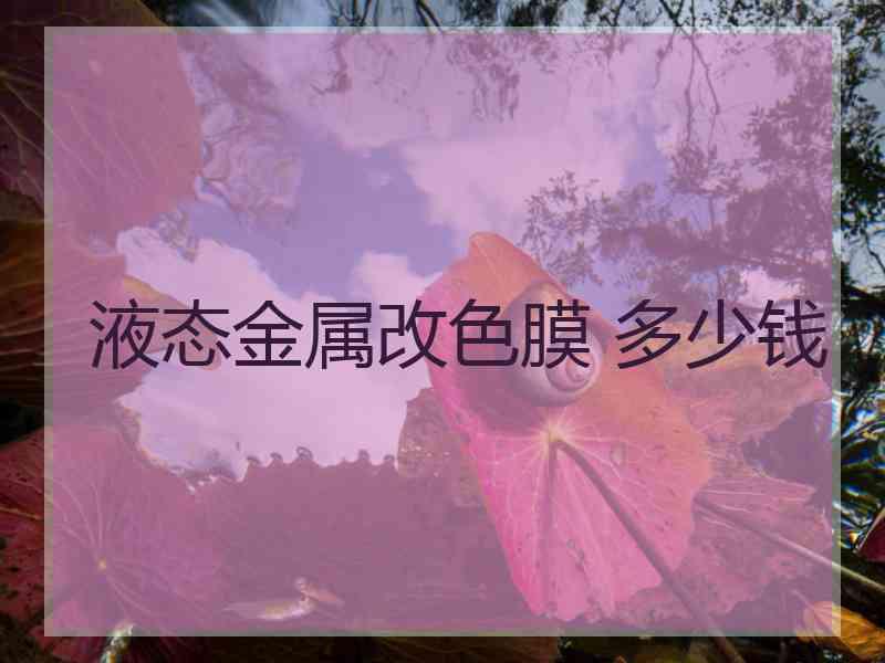 液态金属改色膜 多少钱