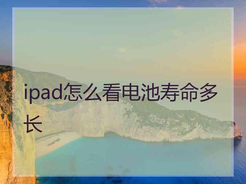 ipad怎么看电池寿命多长