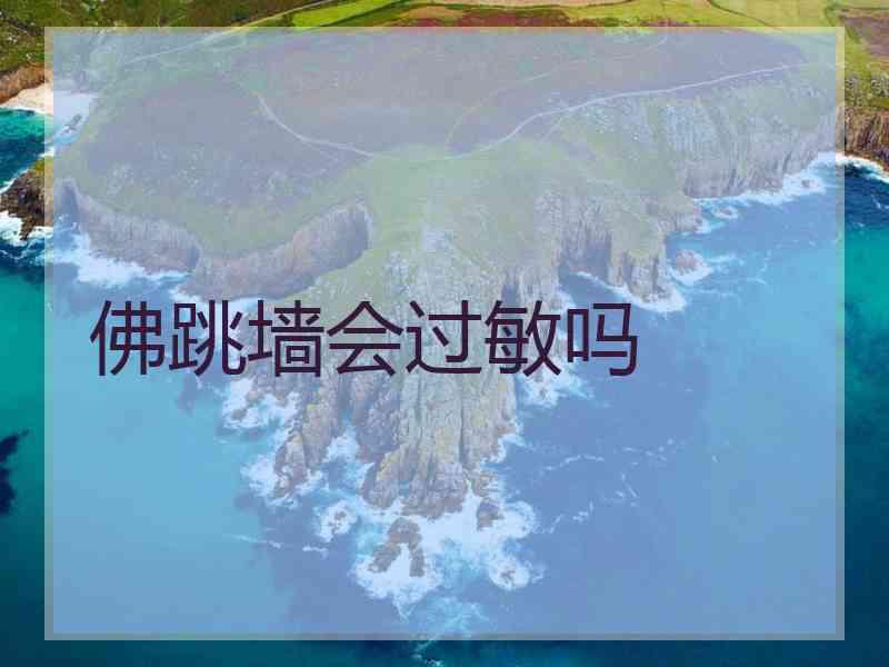 佛跳墙会过敏吗