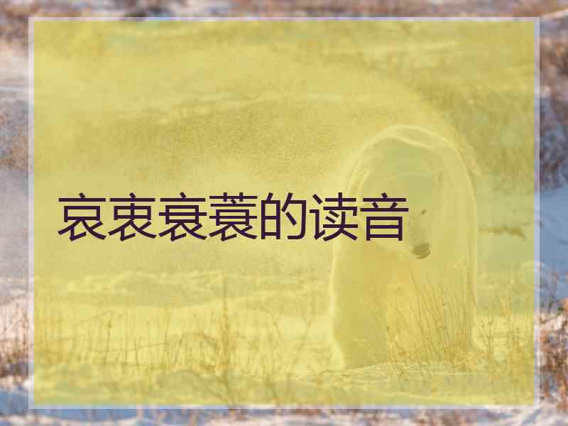哀衷衰蓑的读音