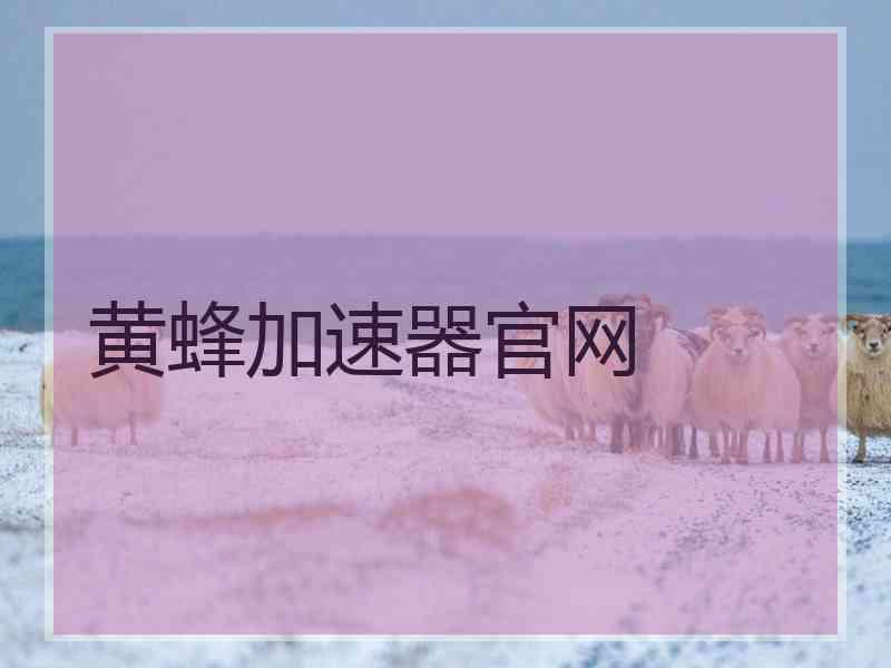 黄蜂加速器官网