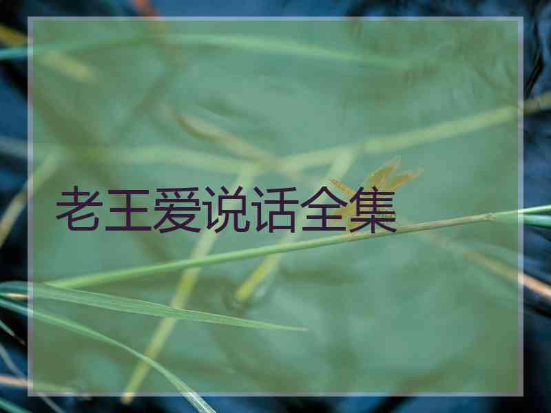 老王爱说话全集