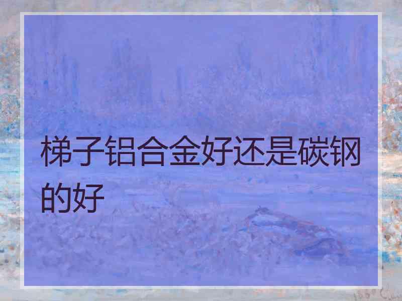 梯子铝合金好还是碳钢的好